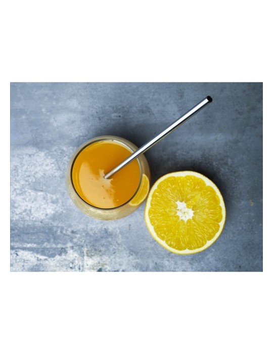 Reusable 1 piece ECO Straw Set paille acier inoxydable