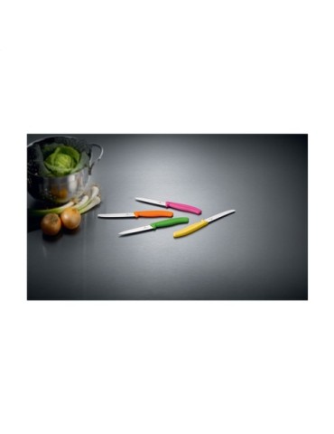 Victorinox Swiss Classic couteau de table 2