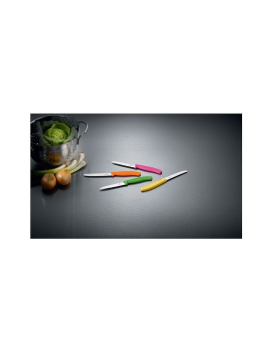 Victorinox Swiss Classic couteau de table