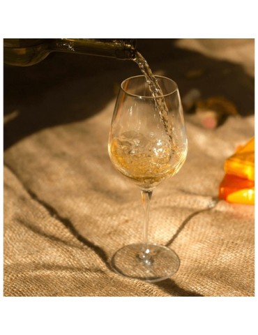 Verre à vin budget 2