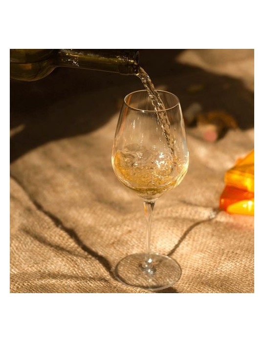 Verre à vin classique