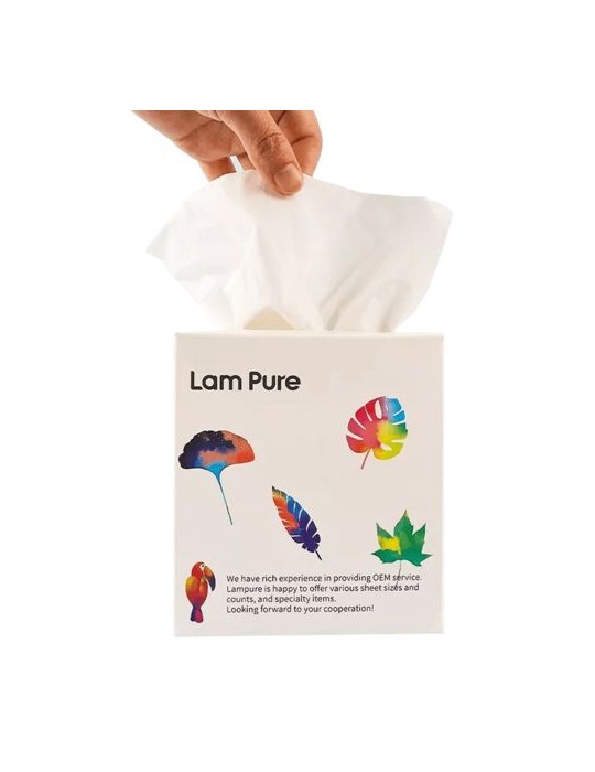 Boîte de mouchoirs cube