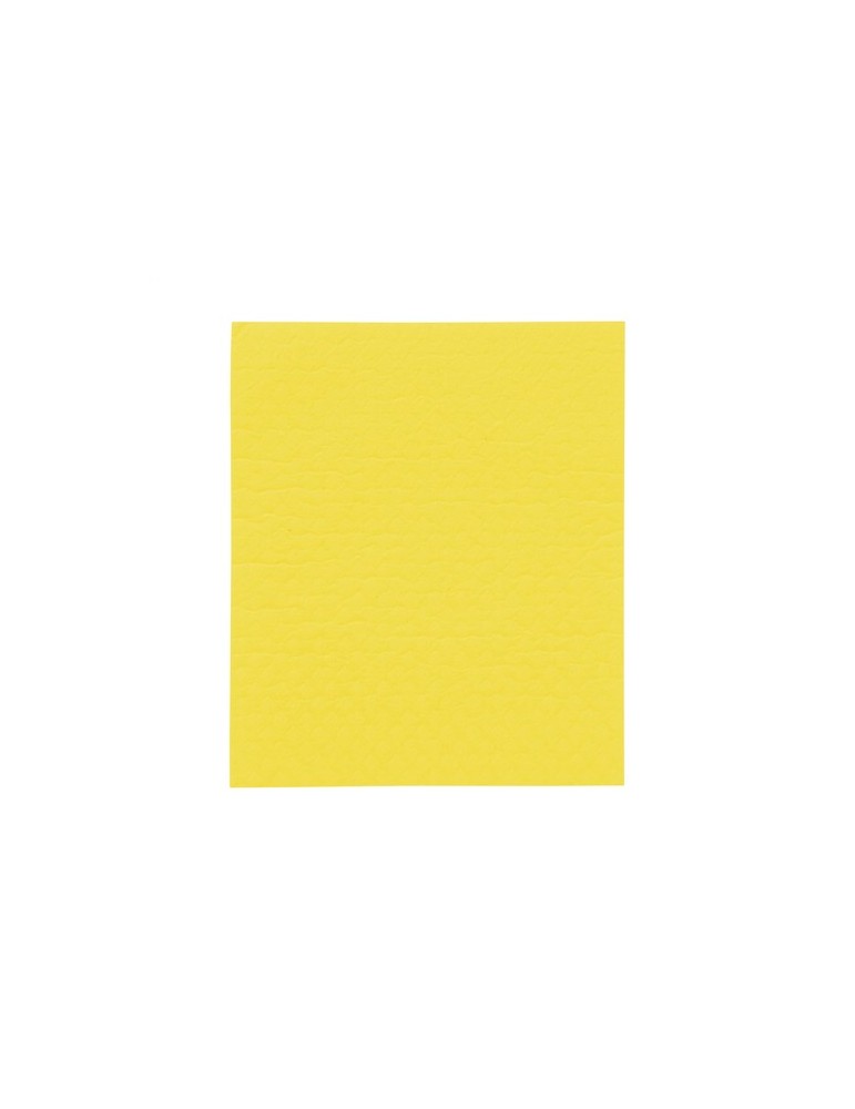 Swedish Dish Cloth lavette