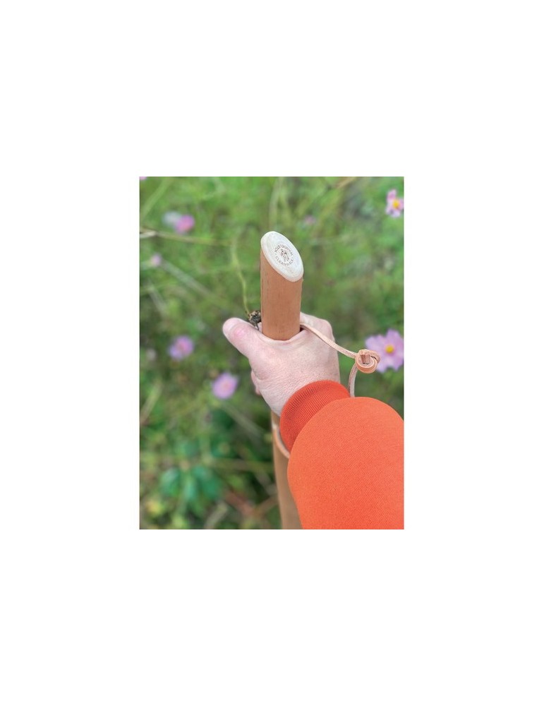 CleanWalk Walkingstick bâton de marche