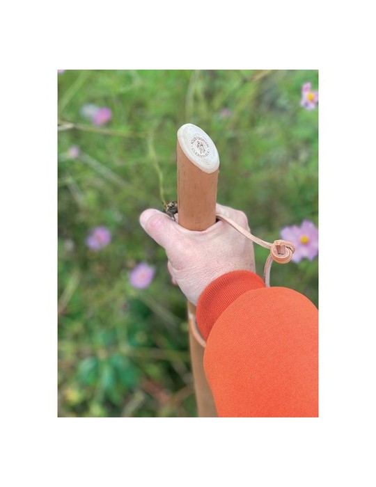 CleanWalk Walkingstick bâton de marche