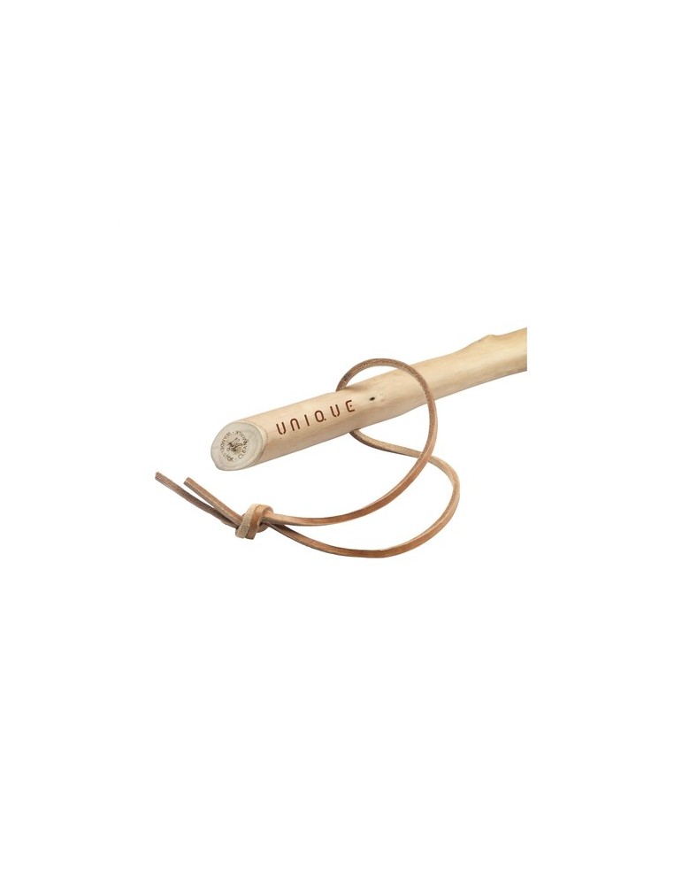 CleanWalk Walkingstick bâton de marche