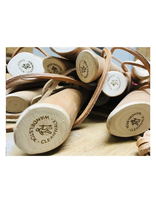 CleanWalk Walkingstick bâton de marche