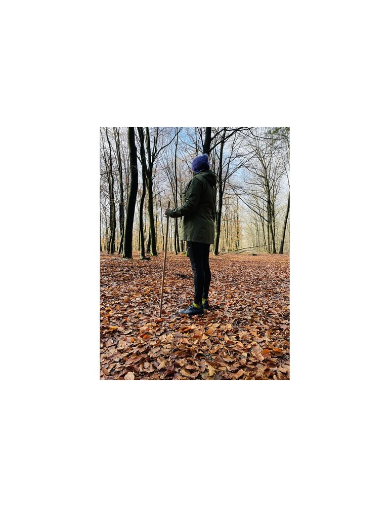 CleanWalk Walkingstick bâton de marche