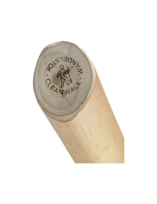 CleanWalk Walkingstick bâton de marche