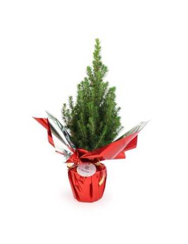 Sapin de Noël personnalisé | Cadeau entreprise Noël 2