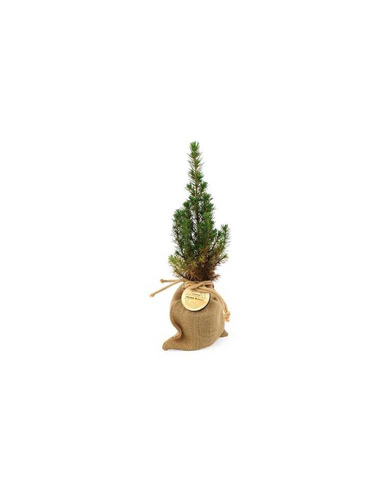 Sapin de Noël personnalisé | Cadeau entreprise Noël