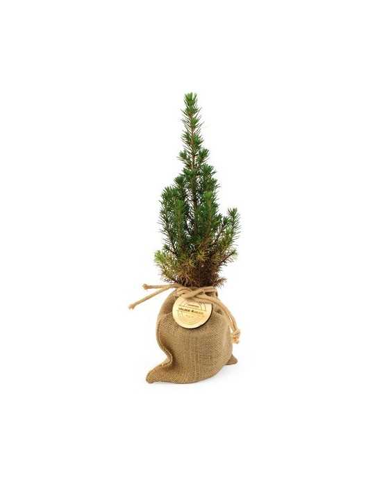 Sapin de Noël personnalisé | Cadeau entreprise Noël