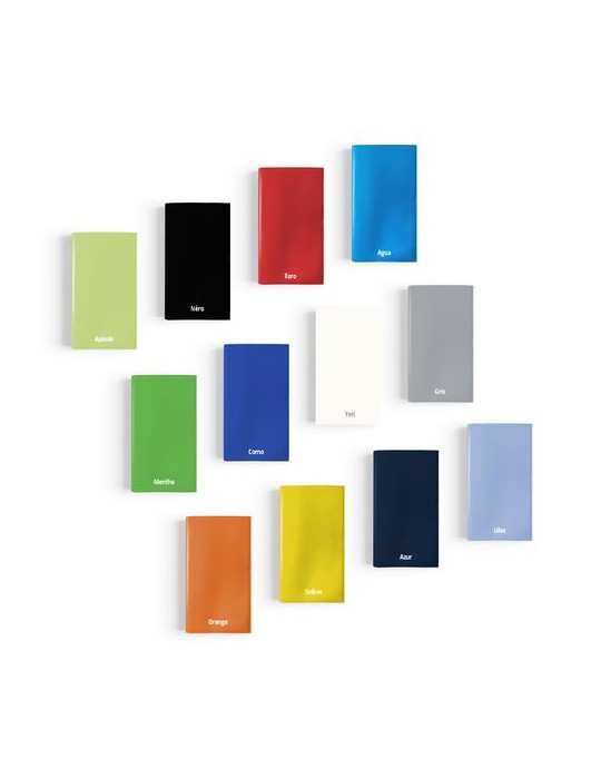 AGENDA SOUPLE POCHE 2026 - COUVERTURE PVC AMOVIBLE APIADE - SANS MARQUAGE