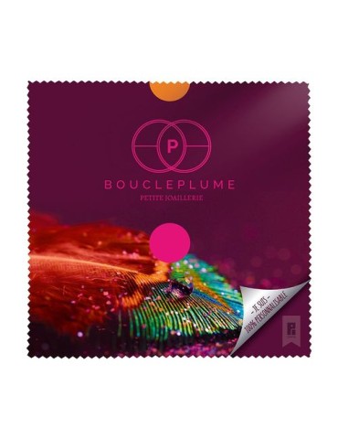 CHIFFONNETTE MICROFIBRE POUR LUNETTES 2