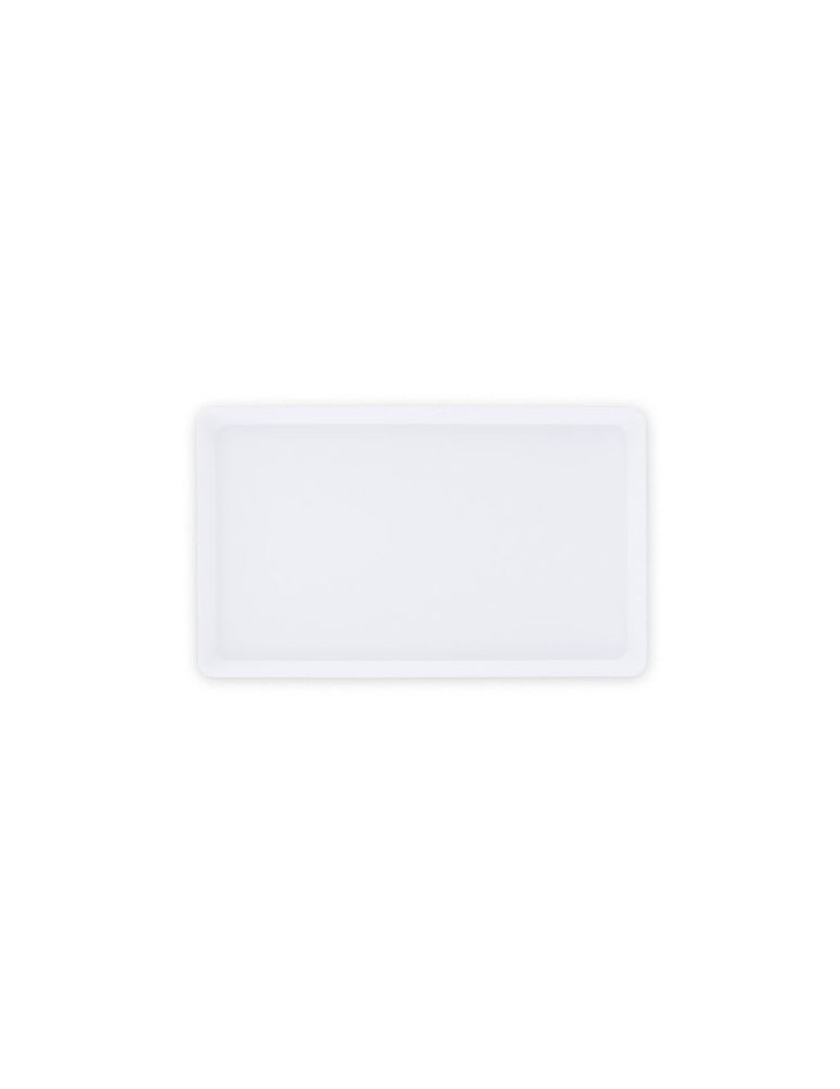 MINI PLATO 25X15X2 CM (IML)