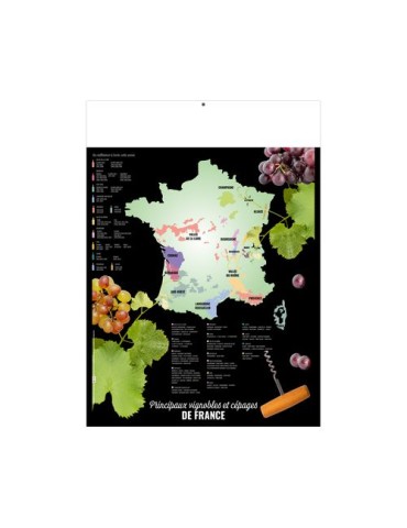 MARIANNE POP 2026 - MIDI 335 x 430 mm - CC REMBORDE - VERSO VIN - SANS MARQUAGE - IDENTIQUE RECTO VERSO marquage couleur éclatan