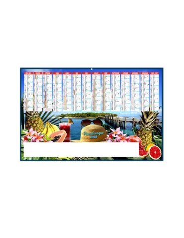 PARADISIAQUE 2026 - MAXI 650 x 405 mm - LEGER 400G - DOS ECOGESTES - SANS MARQUAGE - 1 TROU EN TETE