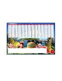 PARADISIAQUE 2026 - MAXI 650 x 405 mm - LEGER 400G - DOS ECOGESTES - SANS MARQUAGE - 1 TROU EN TETE
