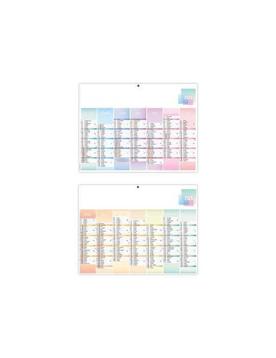 PASTEL 2026 - MAXI 650 x 405 mm - LEGER 400G - DOS VIERGE - SANS MARQUAGE - 1 TROU EN TETE