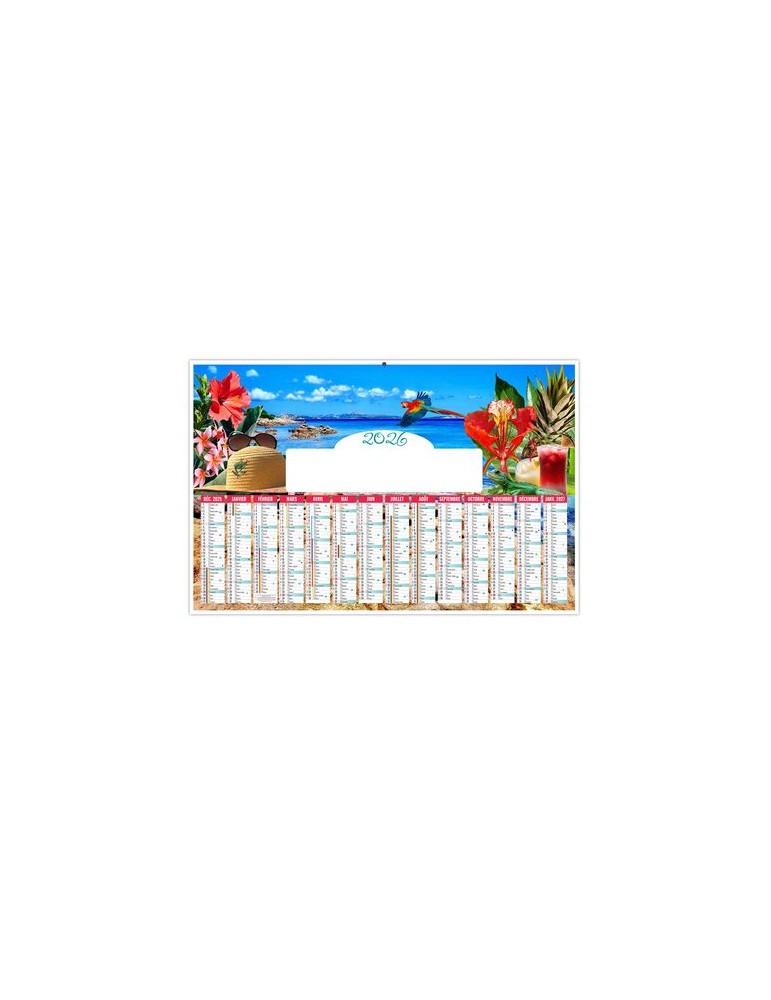 TROPICAL 2026 - MAXI 650 x 405 mm - LEGER 400G - DOS CUISINE - SANS MARQUAGE - 1 TROU EN TETE