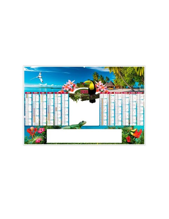 TROPIC 2026 - MAXI 650 x 405 mm - LEGER 400G - DOS BLANC - SANS MARQUAGE - 1 TROU EN TETE