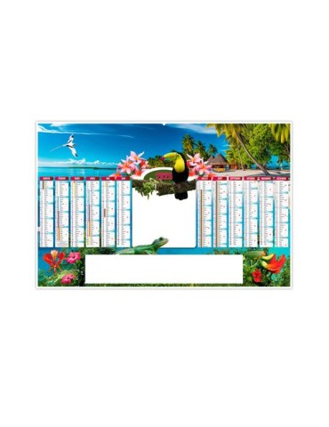 TROPIC 2026 - MAXI 650 x 405 mm - LEGER 400G - DOS BLANC - SANS MARQUAGE - 1 TROU EN TETE 2