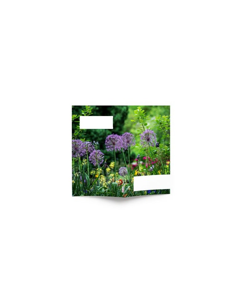 AGENDA ECO POCHE 2026 - THEME JARDIN-1 - 95 x 165 mm - QUINZAINIER 64 PAGES - COUVERTURE 380g QUADRI PAGES 1 ET 4 - PELLICULAGE 