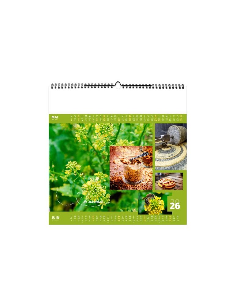 AROMATES ET COMPAGNIE 2026 - SMALL 330 x 330 mm - MARQUAGE 1 COULEUR - RELIURE BAGUETTE