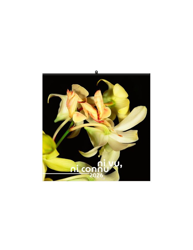 NI VU, NI CONNU 2026 - SMALL 330 x 330 mm - MARQUAGE 1 COULEUR - RELIURE BAGUETTE