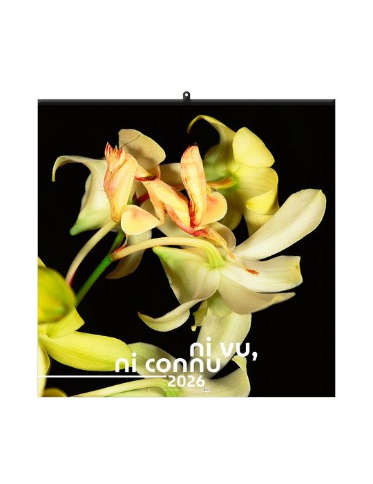 NI VU, NI CONNU 2026 - SMALL 330 x 330 mm - MARQUAGE 1 COULEUR - RELIURE BAGUETTE