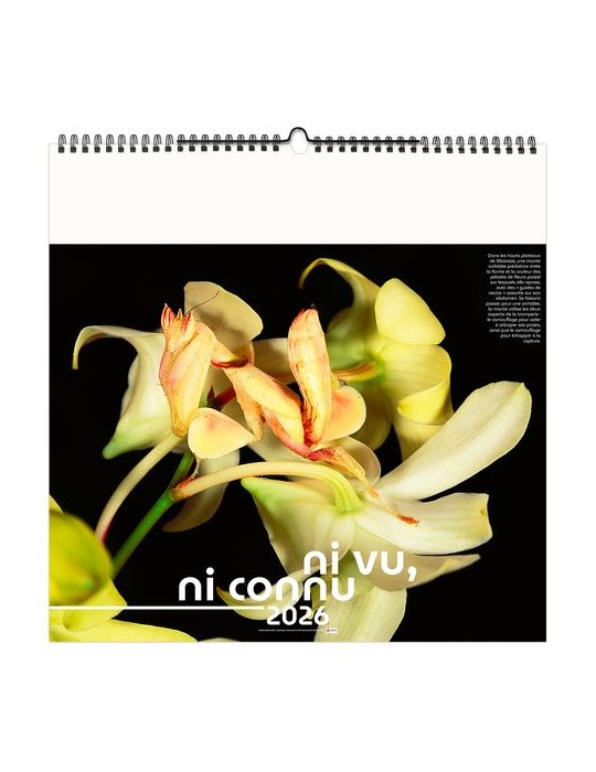 NI VU, NI CONNU 2026 - SMALL 330 x 330 mm - MARQUAGE 1 COULEUR - RELIURE BAGUETTE