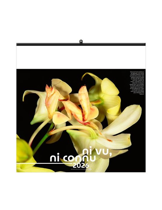 NI VU, NI CONNU 2026 - SMALL 330 x 330 mm - MARQUAGE 1 COULEUR - RELIURE BAGUETTE