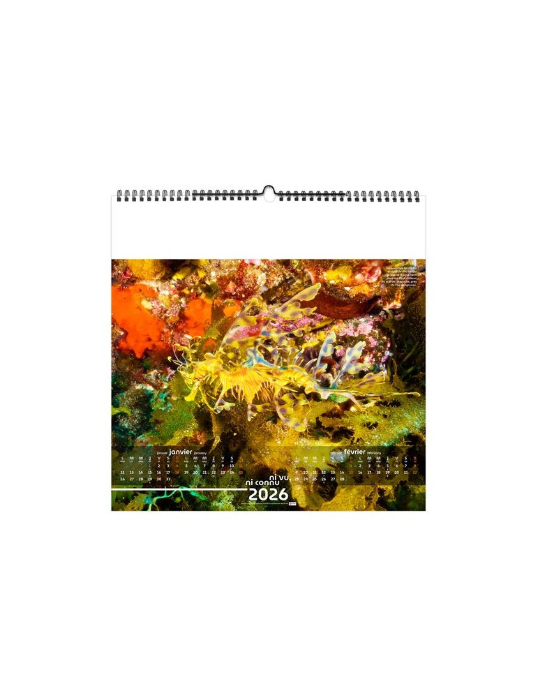 NI VU, NI CONNU 2026 - SMALL 330 x 330 mm - MARQUAGE 1 COULEUR - RELIURE BAGUETTE