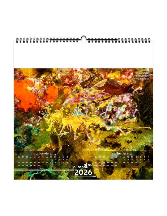 NI VU, NI CONNU 2026 - SMALL 330 x 330 mm - MARQUAGE 1 COULEUR - RELIURE BAGUETTE