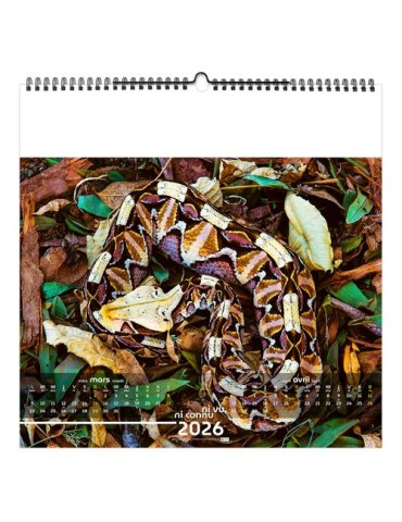 NI VU, NI CONNU 2026 - SMALL 330 x 330 mm - MARQUAGE 1 COULEUR - RELIURE BAGUETTE goodies entreprise design