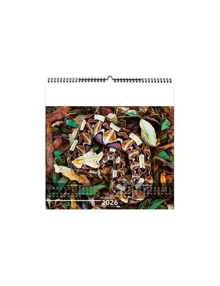 NI VU, NI CONNU 2026 - SMALL 330 x 330 mm - MARQUAGE 1 COULEUR - RELIURE BAGUETTE