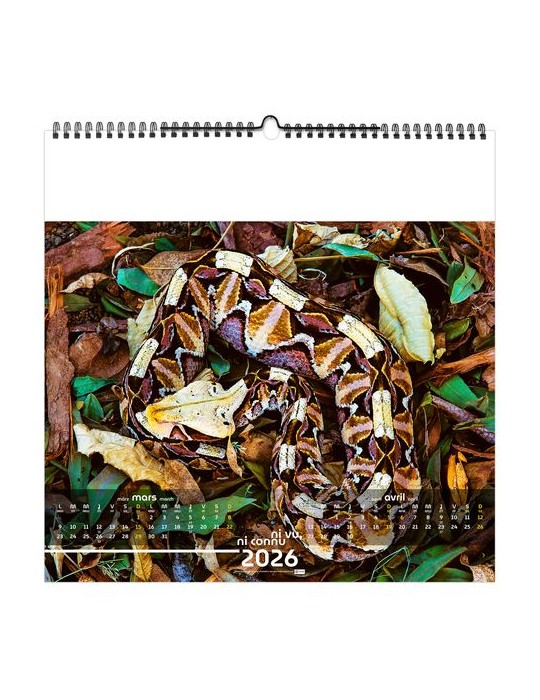 NI VU, NI CONNU 2026 - SMALL 330 x 330 mm - MARQUAGE 1 COULEUR - RELIURE BAGUETTE