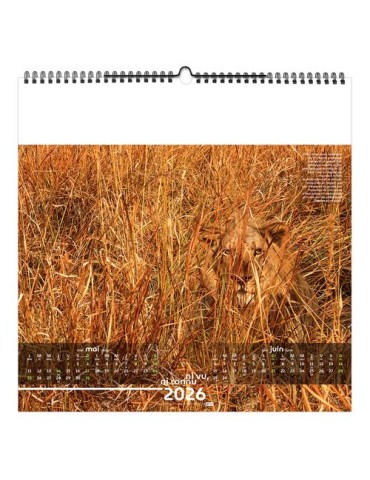 NI VU, NI CONNU 2026 - SMALL 330 x 330 mm - MARQUAGE 1 COULEUR - RELIURE BAGUETTE cadeau client original