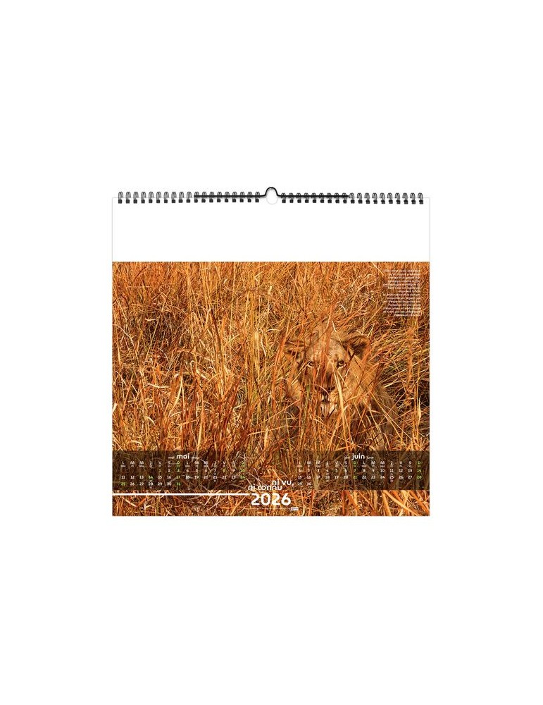 NI VU, NI CONNU 2026 - SMALL 330 x 330 mm - MARQUAGE 1 COULEUR - RELIURE BAGUETTE