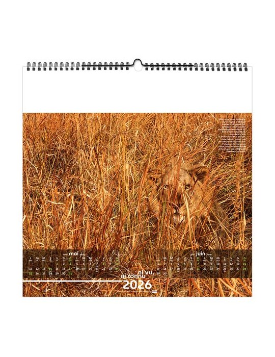 NI VU, NI CONNU 2026 - SMALL 330 x 330 mm - MARQUAGE 1 COULEUR - RELIURE BAGUETTE