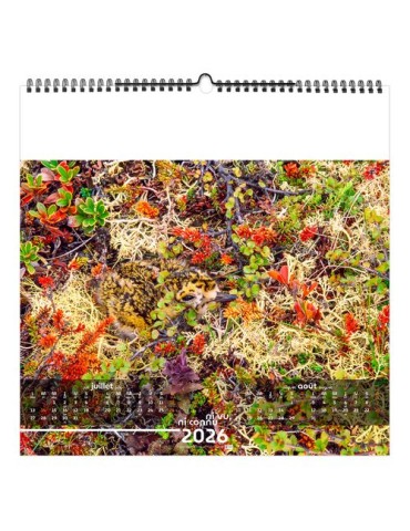 NI VU, NI CONNU 2026 - SMALL 330 x 330 mm - MARQUAGE 1 COULEUR - RELIURE BAGUETTE objet publicitaire robuste
