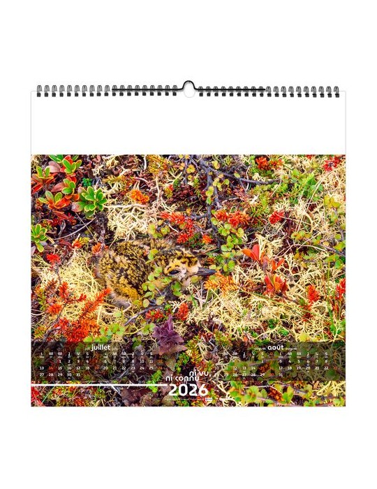 NI VU, NI CONNU 2026 - SMALL 330 x 330 mm - MARQUAGE 1 COULEUR - RELIURE BAGUETTE