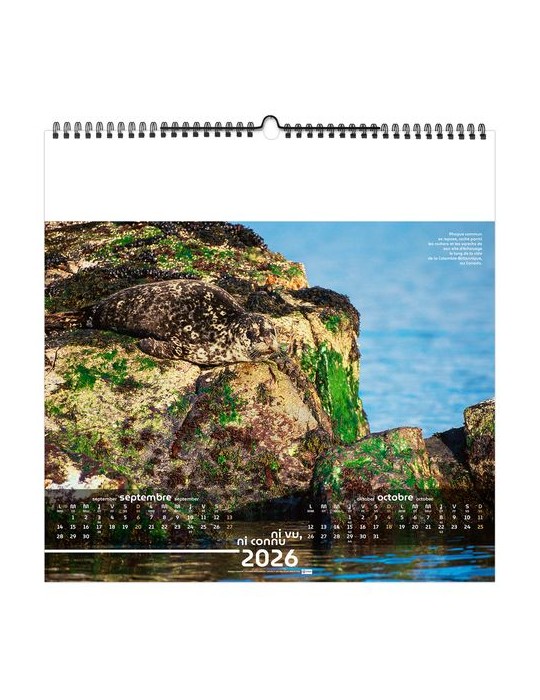 NI VU, NI CONNU 2026 - SMALL 330 x 330 mm - MARQUAGE 1 COULEUR - RELIURE BAGUETTE