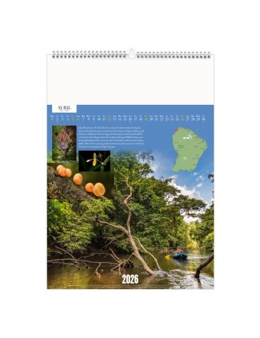 GUYANE 2026 - MARQUAGE 1 COULEUR marquage laser ultra précis