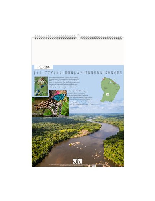 GUYANE 2026 - MARQUAGE 1 COULEUR