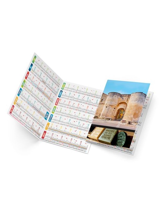 STEPHAN 2026 - NEUTRE 1 POSE