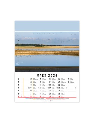 CELINE 2026 - 12 FEUILLETS - BLOC SEUL SANS MARQUAGE goodies publicitaire événementiel
