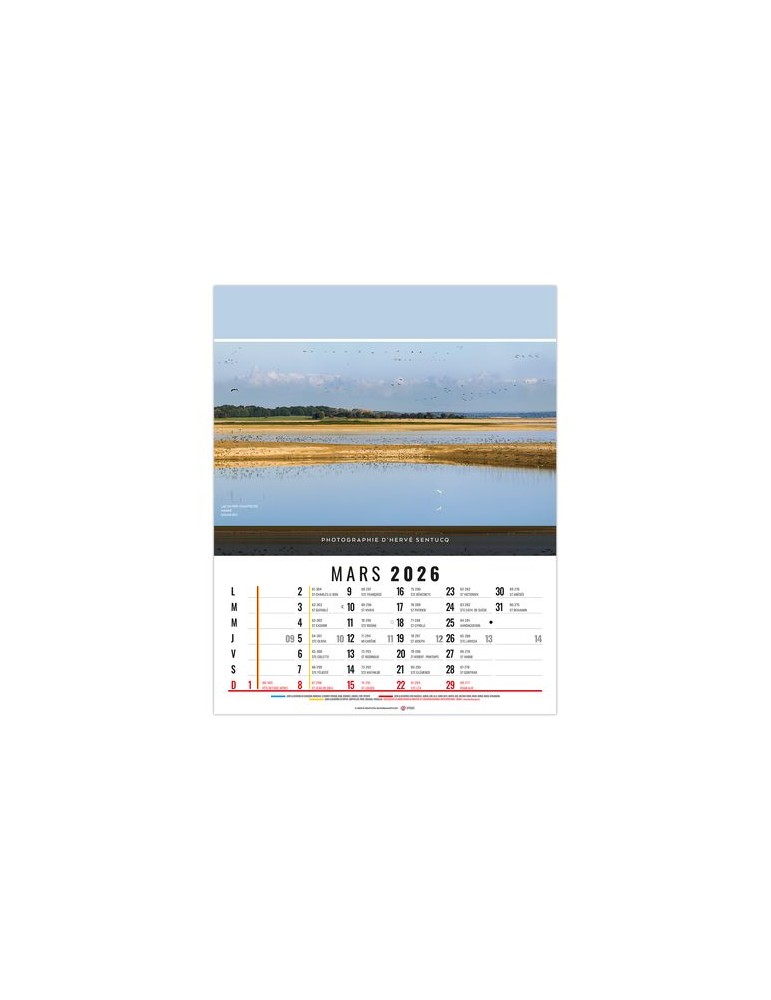 CELINE 2026 - 12 FEUILLETS - BLOC SEUL SANS MARQUAGE