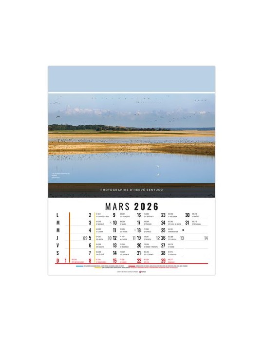 CELINE 2026 - 12 FEUILLETS - BLOC SEUL SANS MARQUAGE