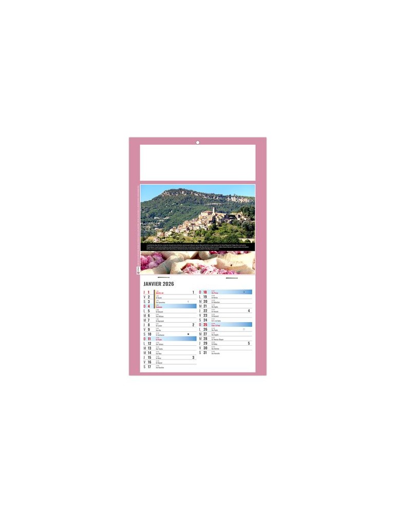 PLAQUE 1 VUE STEPHANE 2026 - DOS CARTON - BLOC B2 - SANS MARQUAGE